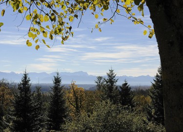 panorama-2