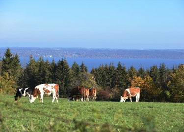 panorama-3