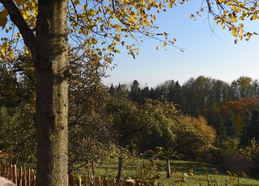 panorama-5